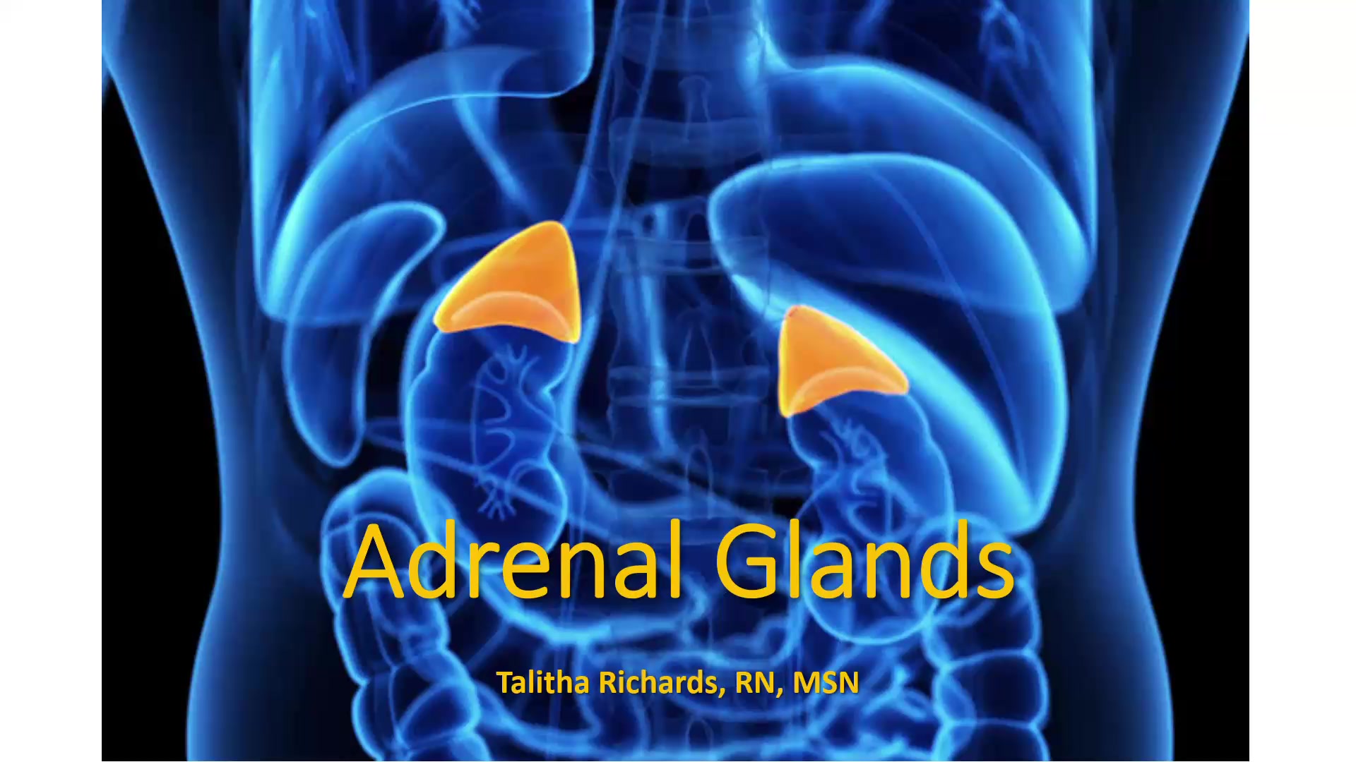 Adrenal Gland Recording