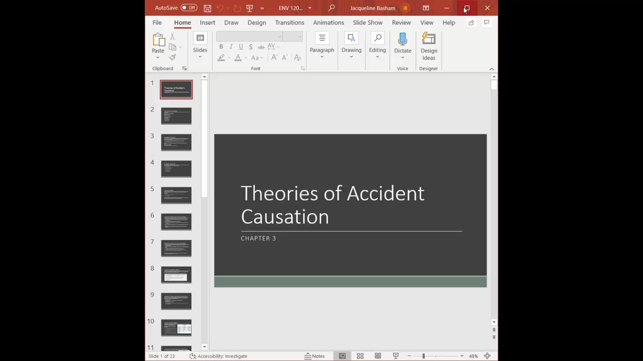 Env Ch Theories Of Accident Causation